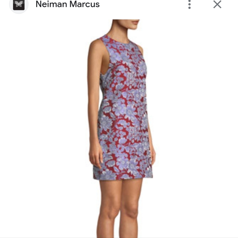 Alice + Olivia dress